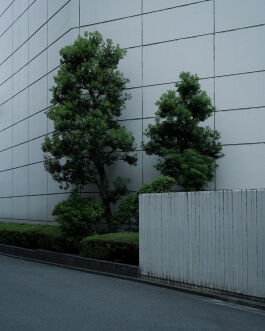 Malwin Béla Hürkey — Visual Communication